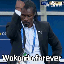 2018世界杯 俄罗斯世界杯 大力神杯 FIFA 世界杯 塞内加尔 教练 wakanda forever 西塞