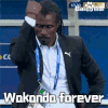2018世界杯 俄罗斯世界杯 大力神杯 FIFA 世界杯 塞内加尔 教练 wakanda forever 西塞