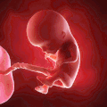 怀孕 婴儿 诧异 脐带