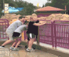 孩子 海浪 逃跑 搞笑