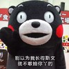 别以为 我长得 斯文 就不敢 抽你丫的