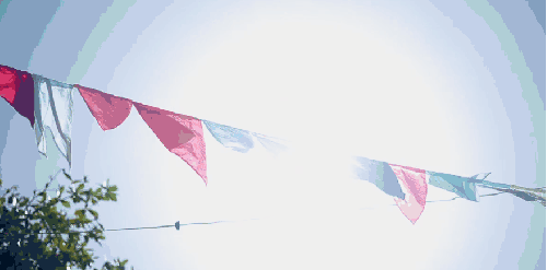 塞舌尔群岛 彩旗 纪录片 阳光 风景