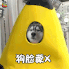 放开我北鼻 林更新 狗脸蒙X soogif soogif出品