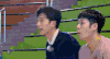 我们战斗吧 王凯 海豚 本宝宝驾到 井柏然
