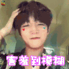 杨子轩 轩哥 阳光宅男 猪猪轩 害羞到模糊 抖音网红 抖音红人 soogif soogif出品