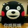 熊本熊  直视  威胁  你找死哦