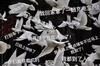 动物 鸽子 打到车了 我都到了 搞怪 逗