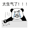 暴漫 熊猫头 她生气了 难受 搞怪 逗