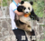 熊猫 可爱 国宝 算了算了