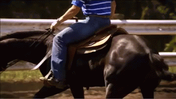 马术 Equestrianism sports 骑马 培训