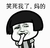 金馆长 蘑菇头 捂嘴 笑死我了妈的
