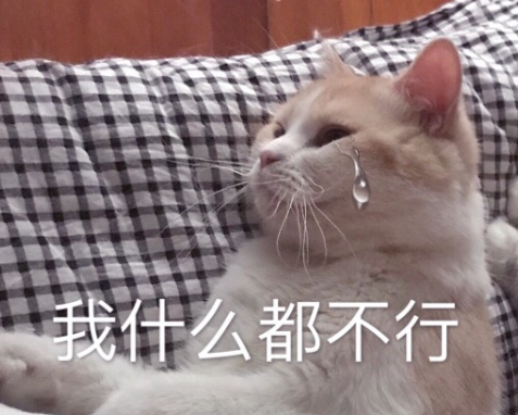喵星人 可爱 蠢萌 文字表情包 沙雕