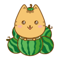 卡通 猫咪 西瓜 张嘴