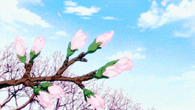 蓝天 白云 树枝 鲜花