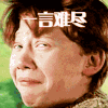 一言难尽 哈利波特