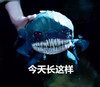 长这样 搞笑 小鱼 海底世界