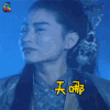 六指琴魔 林青霞 黄雪梅 天哪 伤心 soogif soogif出品