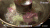 春节 美食 过年 纪录片 年夜饭