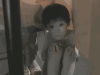 男孩 注视 可怜 坐着