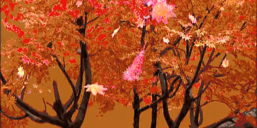 落叶 树木 风景 景色