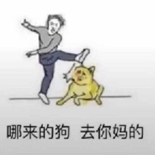 哪来的狗 去你妈的 斗图 搞笑 猥琐 踢狗