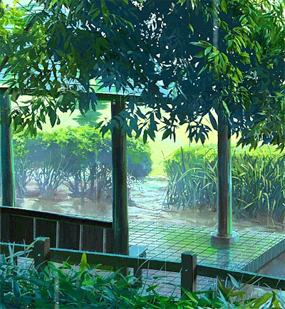 下雨 树木 绿叶 玻璃