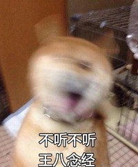 萌宠 汪星人 女友撒娇时 可爱 文字表情包