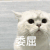 萌宠 猫星人 委屈 难受 呆萌 逗