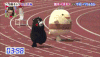 跑 running 搞笑 比赛