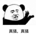 骚 熊猫头