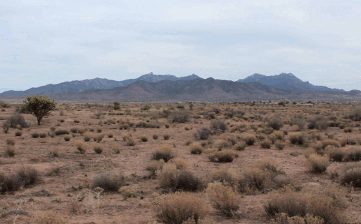 沙漠  自然  荒凉  灰色