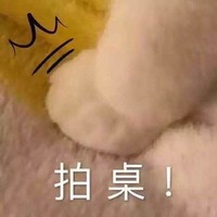 猫爪 毛茸茸 生气 拍桌