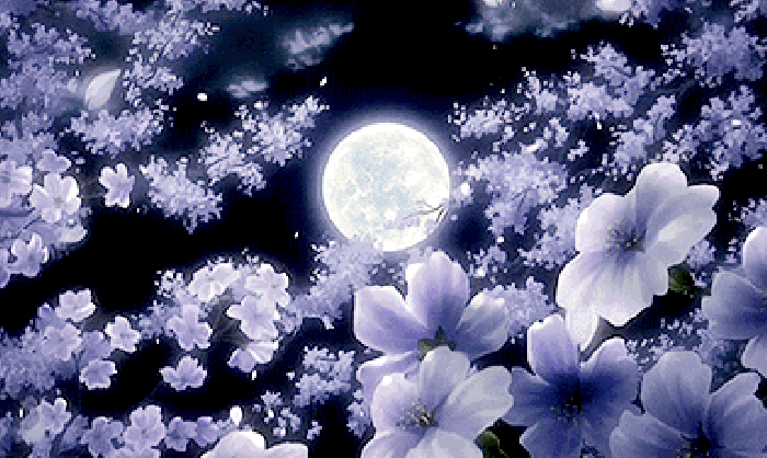 月亮 唯美 明亮 花瓣 飘零