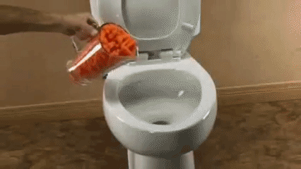 脸红 厕所 小胡萝卜 胡萝卜 卫生检验 胡萝卜