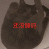 沙雕猫 猫咪 猫 可爱猫 猫表情包 猫咪表情包 小猫