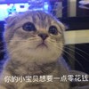 萌宠 喵星人 你的小宝贝 零花钱 搞怪 逗