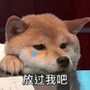 萌宠 汪星人 放过我吧 我再也不敢了 可怜 可爱