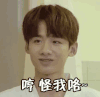 白敬亭 夏至未至 贱兮兮 怪我咯 怪我喽