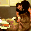 喵星人 搞笑 萌宠 可爱 猫咪