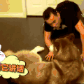 喵星人 搞笑 萌宠 可爱 猫咪