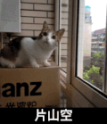 大眼睛 片山空 窗户 玻璃