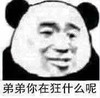 熊猫头 暴漫 弟弟你在狂什么呢 搞笑 逗 蠢萌 沙雕