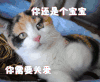 关爱