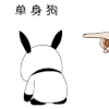 毛驴 生气 愤怒 单身狗