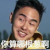 阮经天 你算哪根葱啊 恶搞 坏笑