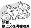 兔子 围观 观看 快看楼上又在满嘴喷粪