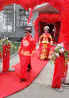 红地毯 新娘 开心