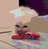猫咪 喵星人 可爱 玩耍