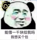 熊猫头 能借一千块钱给我吗我想买个包 斗图 搞笑