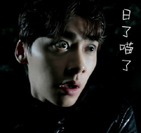 盗墓笔记 电视剧 李易峰 日了喵了